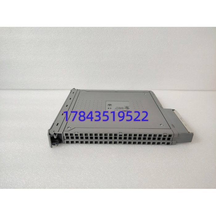 ICS Triplex T8431 | 40通道AI卡件 - 图片 4
