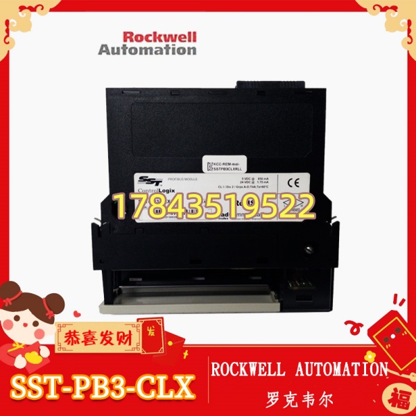 罗克韦尔 SST-PB3-CLX | PROFIBUS 主从一体化模块 - 图片 4