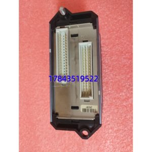 Foxboro FBM227 P0927AC | 冗余 100Mbps Ethernet Fieldbus Module I/A Series