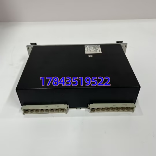 Vibro-Meter SIM-275A 200-582-500-013 | VM600 / MPEG 系统信号接口/前置调理模块 - 图片 4