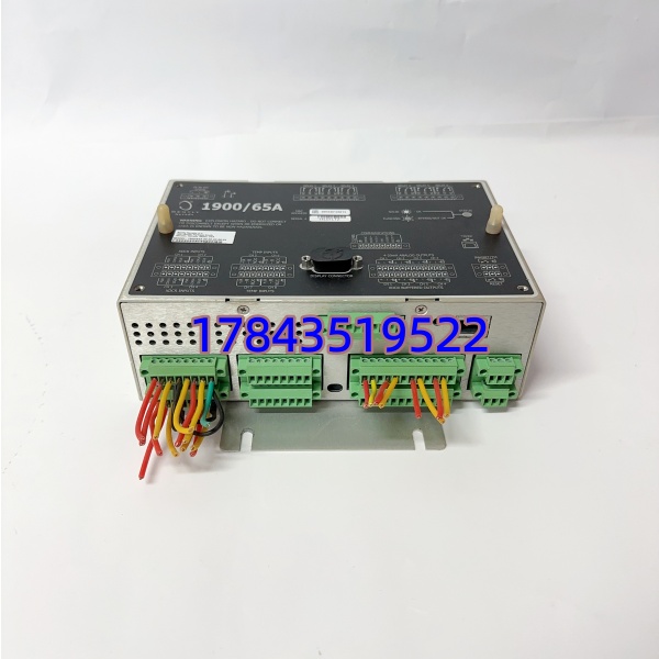 Metrix 190065A-00-00-02-00-01 | 5485C/5485D Proximitor® 振动/位移前置器 - 图片 3
