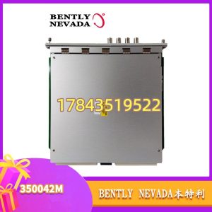 Bently Nevada 3500/42M | 振动监测卡件