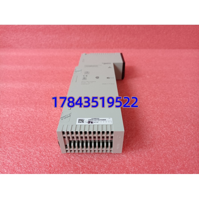 Schneider 140AMM09000 | 过程控制用 16位分辨率 AI/AO - 图片 4