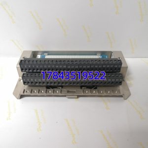 GE IS430SNUAH1A | Mark VIe SNUA 通用I/O包模块