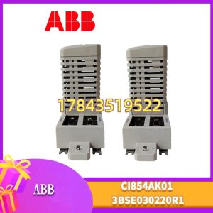ABB CI854AK01 3BSE030220R1 | AC 800M Profibus DP-V1 主站模块