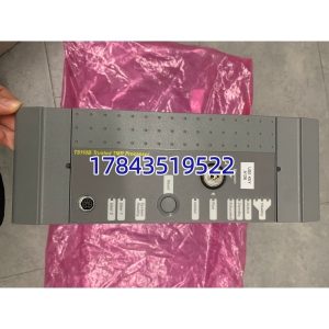 ICS Triplex T8110B | Trusted TMR 安全处理器模块