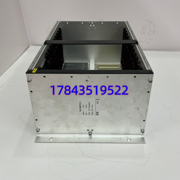 DEIF DELOMATIC-3 DGU2 | 19英寸机架式安装机箱