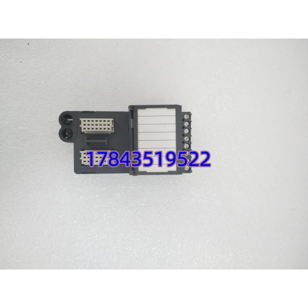 Emerson DeltaV VE4017PO H1 | M系列 FOUNDATION Fieldbus H1 接口卡