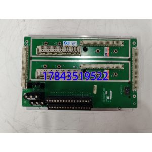 TRICONEX Tricon DO2401 (7400209-030) | SIS执行单元