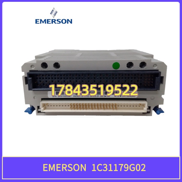 Emerson 1C31179G02 | Type T 数字量输出 16 通道 带光电隔离 + 端子块匹配 - 图片 4