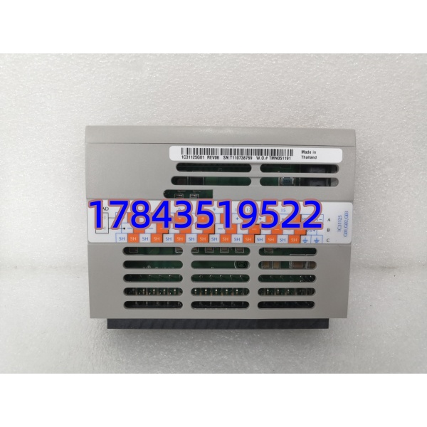 EMERSON 1C31125G01 | Ovation DO 个性模块 16CH 5–60V DC