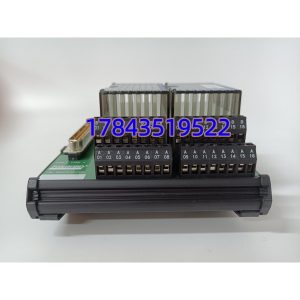 FOXBORO P0916PH | 24V/600W 电源供应单元
