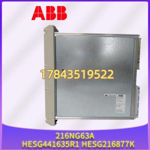 ABB 216NG63A (HESG441635R1 / HESG216877K) | Advant/SattCon 系统电源 24VDC