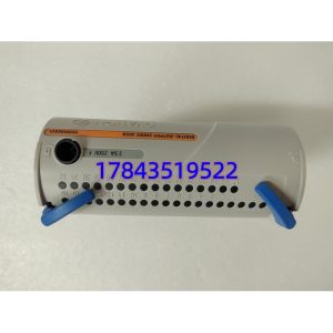 Westinghouse 5X00500G01 Ovation 32点 24VDC 晶体管源输出 DO模块