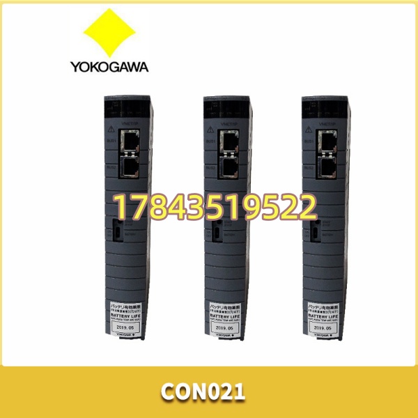 YOKOGAWA CP461-50 | 无防爆标准型 - 图片 3