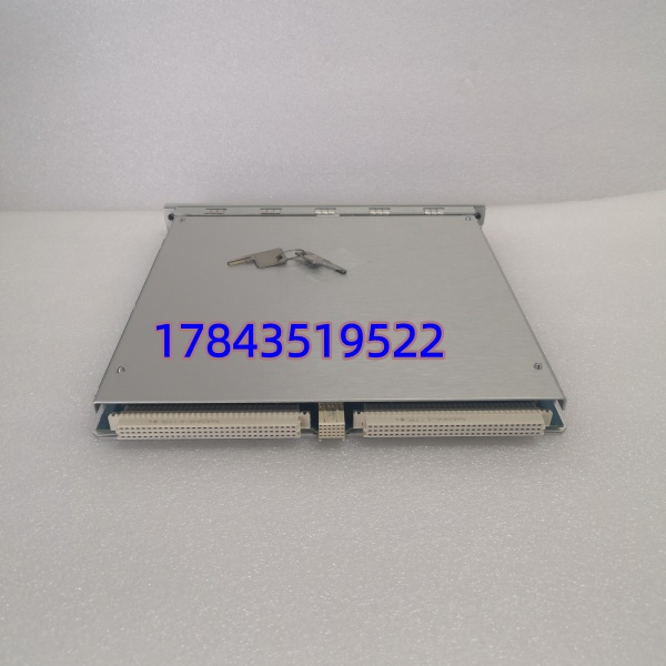 Bently Nevada 3500/22M 288055-01 | 瞬态数据接口模块 TDI