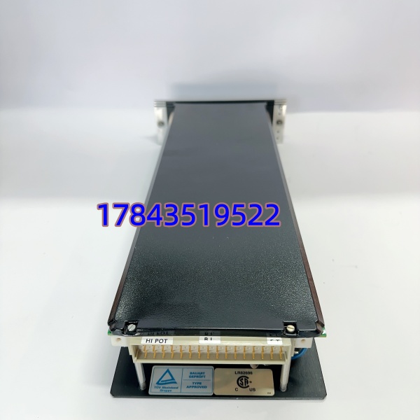 TRICONEX 8312 | 现货库存 全新原装 Schneider Triconex SIS系统备件 - 图片 4