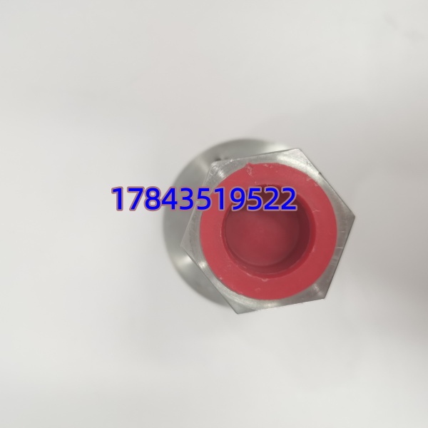 GE Reuter-Stokes RS-FS-9001 | 燃烧管理系统BMS安全检测探头