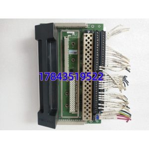 TRICONEX 2351 (Tricon TS3000 系统组件 / 与3008/3009主处理器同机架)