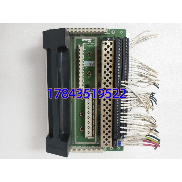 TRICONEX 2351 (Tricon TS3000 系统组件 / 与3008/3009主处理器同机架)