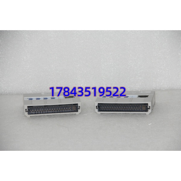 Emerson 1C31116G04 | 16点 干接点输出 带 LED 每通道 可热插拔