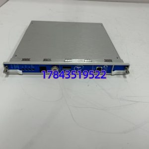 Bently Nevada 3500/22M 288055-01 | 瞬态数据接口 TDI 模块