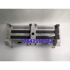 MERSON 1C31206G01 | 电源分配模块