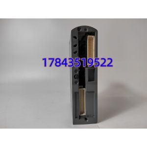 ICS TRIPLEX T9451 | TMR数字输出模块