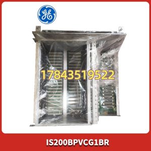 GE IS200BPVCG1BR | Mark VIe BPVC Bridge & Pulse Verification Card