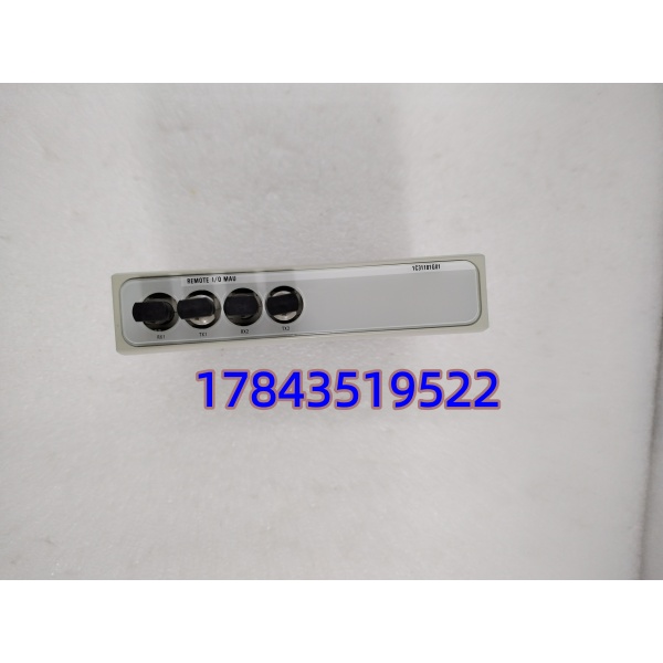 EMERSON 1C31181G01 | 支持热插拔 双路冗余 - 图片 3