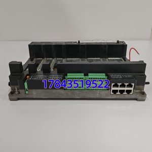 Bently Nevada 289761-01 | 3701/55 ADAPT ESD 终端底座组件