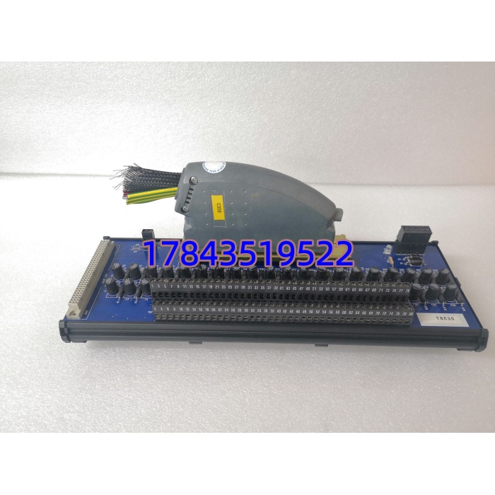 ICS Triplex T8830 | T8431 配套模拟量输入接线板 - 图片 3