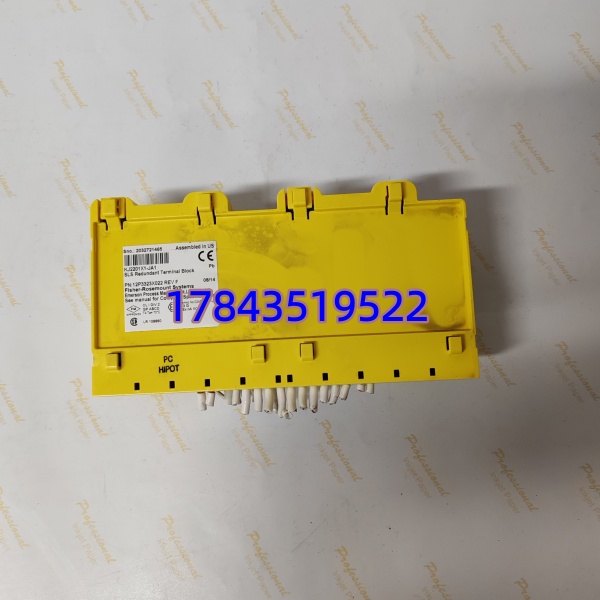 EMERSON KJ2201X1-JA1 | DeltaV 16路AI模拟量端子块 - 图片 3