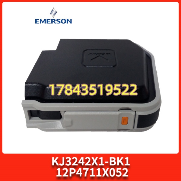 Emerson KJ3242X1-BK1 | DeltaV 控制器与操作员站冗余网络桥接模块 100Mbps - 图片 3