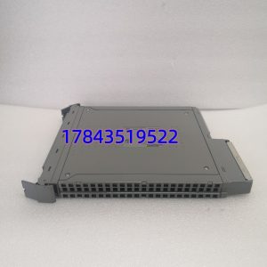 ICS Triplex T8461C 832001 | 40通道 24/48V DC 固态输出