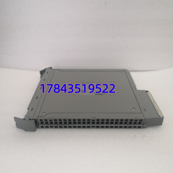 ICS Triplex T8461C 832001 | 40通道 24/48V DC 固态输出
