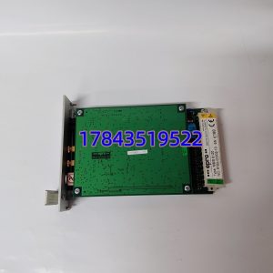 EPRO MMS6120 9100-00002-10 | MMS6000 双通道振动/轴相对位移监测模块