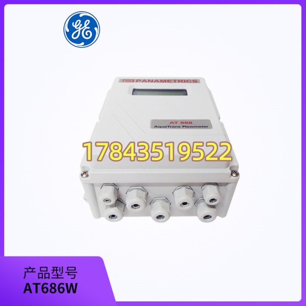 GE AT686W IC693ACC686W | 弹簧/螺钉压接 24点 带标记条 - 图片 3