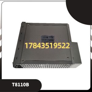 ICS Triplex T8110B | 关键备件(ESD/F&G SIL 3 三重模冗余 热插拔)