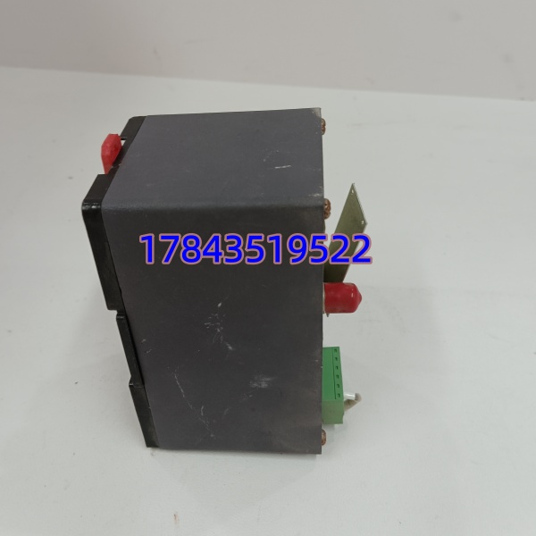 ProvibTech TM201-A00-B00-C00-D00-E00-G00 | 轴振动变送保护表 - 图片 3