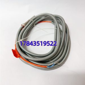 Emerson EPRO PR9376/010-011 9200-00097 | 关键旋转机械保护测速元件