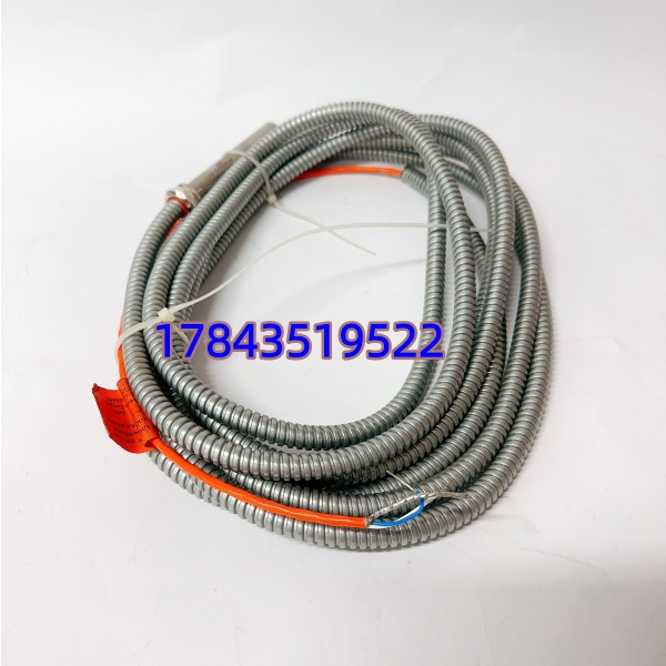 Emerson EPRO PR9376/010-011 9200-00097 | 关键旋转机械保护测速元件