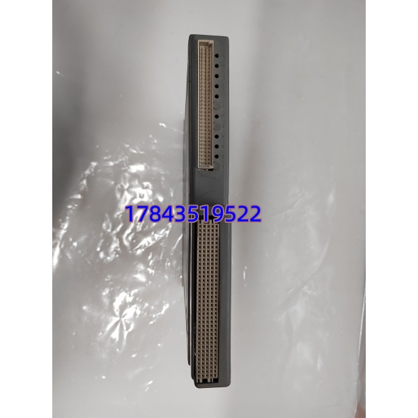 ICS Triplex T8461 | Trusted TMR 40-Ch 24/48VDC 数字量输出模块 - 图片 4