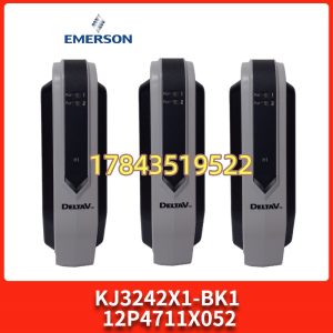 Emerson KJ3242X1-BK1 | DeltaV 控制器与操作员站冗余网络桥接模块 100Mbps