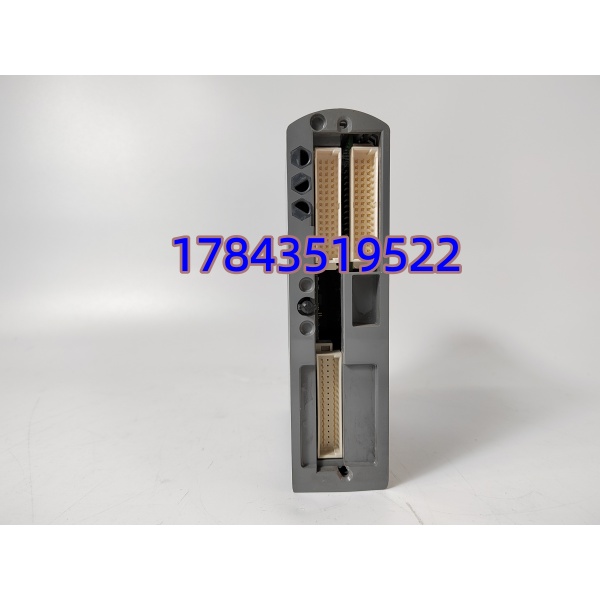 ICS TRIPLEX T9432 | 三重冗余AI模块 - 图片 3