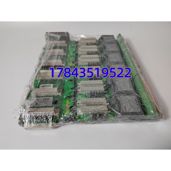 ICS TRIPLEX T9802 | TMR主处理器模块 - 图片 4