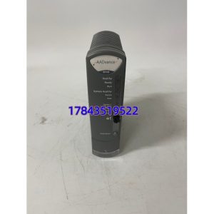 ICS Triplex T9110 | Trusted SIS 系统 24VDC 电源模块 PSM