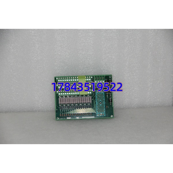 Foxboro 9771-2XX (FBM201) | I/A Series Fieldbus模块 - 图片 3