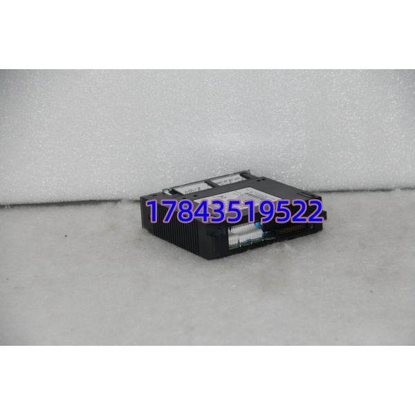 General Electric IC693ALG221 模拟电流输入 12bit 2ms刷新 | 带光电隔离 - 图片 4