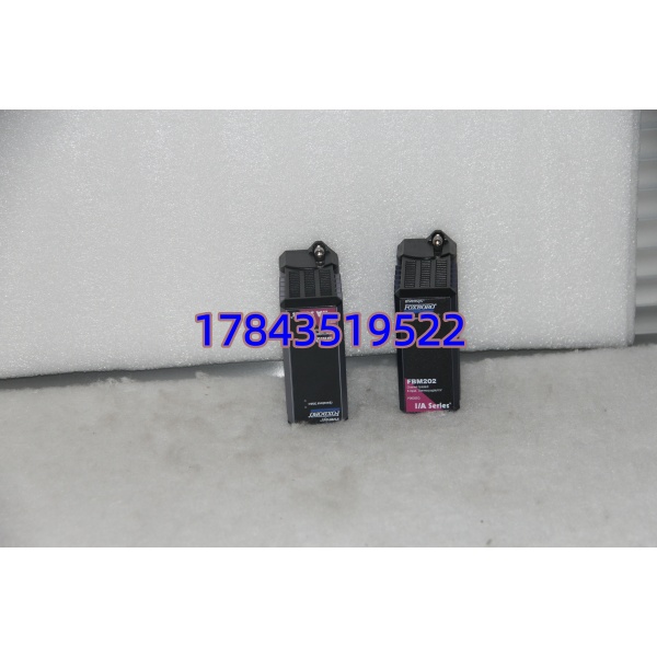 Foxboro FBM202 | 模拟量输入模块 - 图片 4